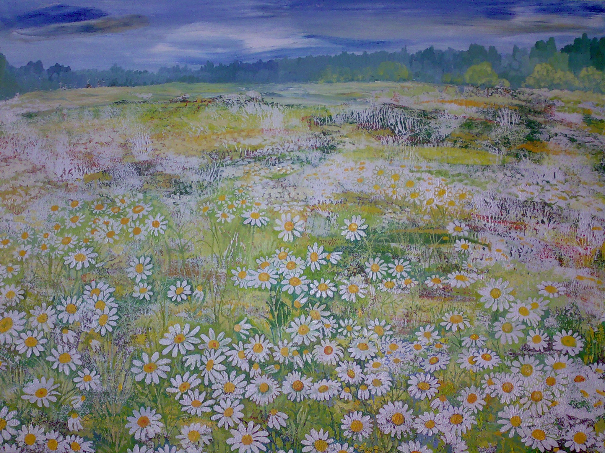 Ромашковое поле. Холст, масло. 80 на 65 см