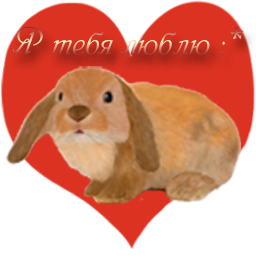 я тебя люблю