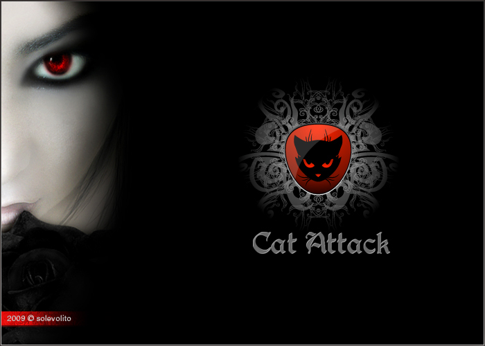 cats attack