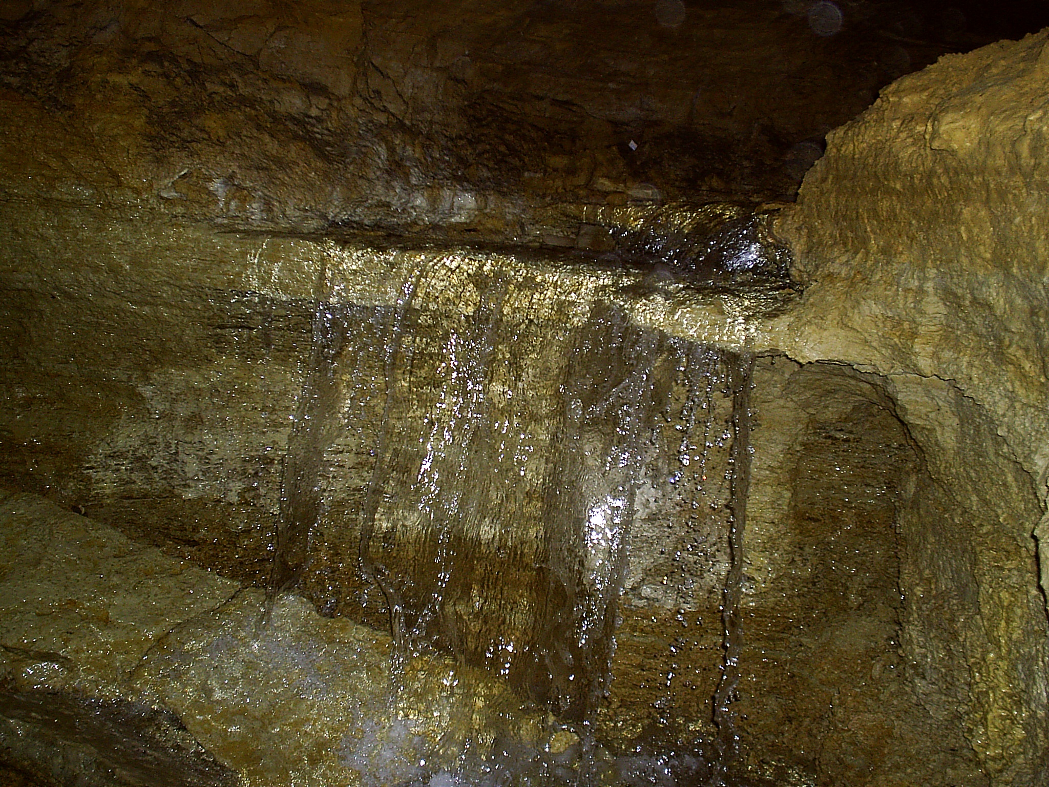 Мимоходом через объектив