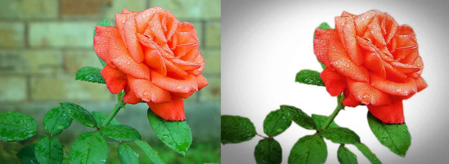 Обтравка фотоснимков.