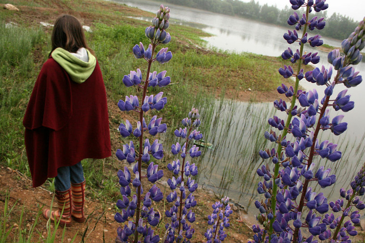 сиренева она