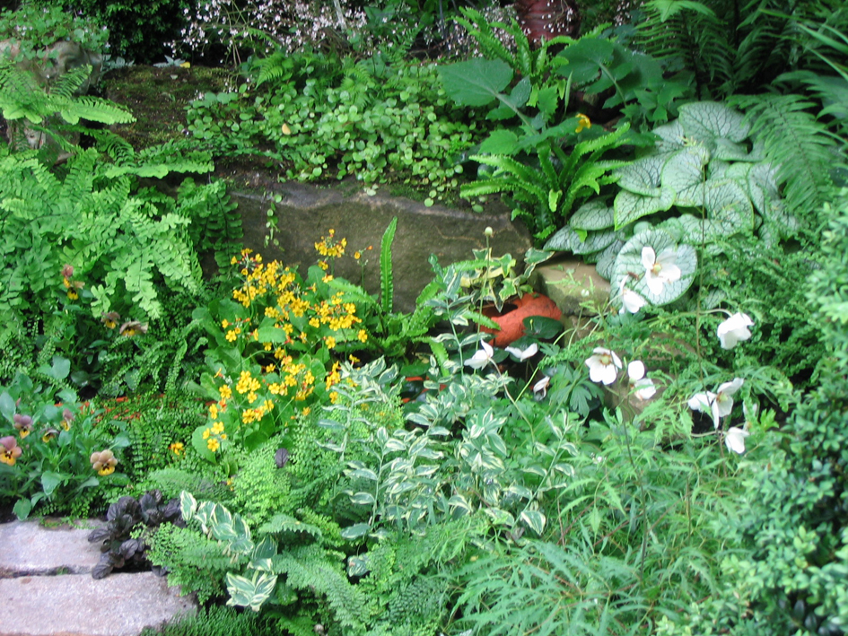 Ландшафтный дизайн