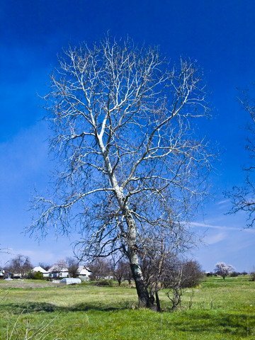 типично русский...
