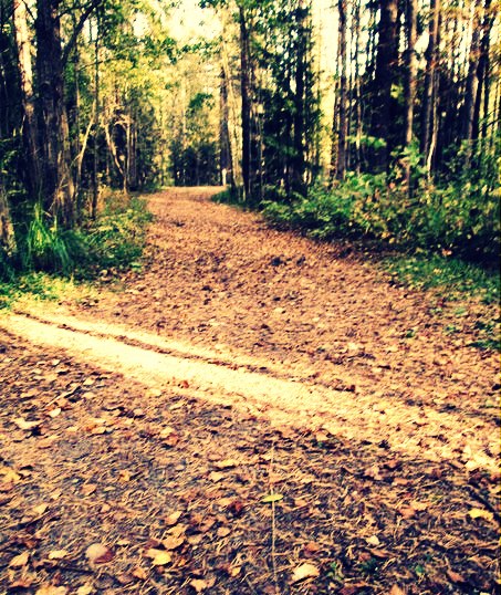 Из серии "Осень"