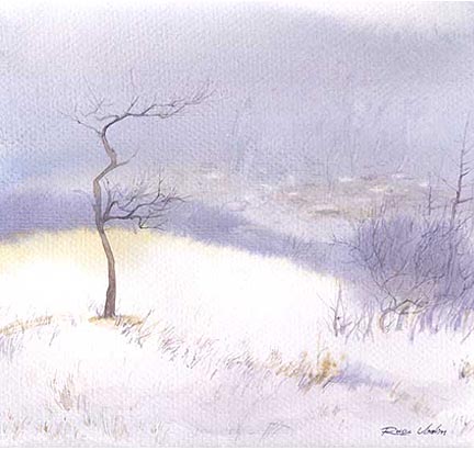 Зима на "Гихари"