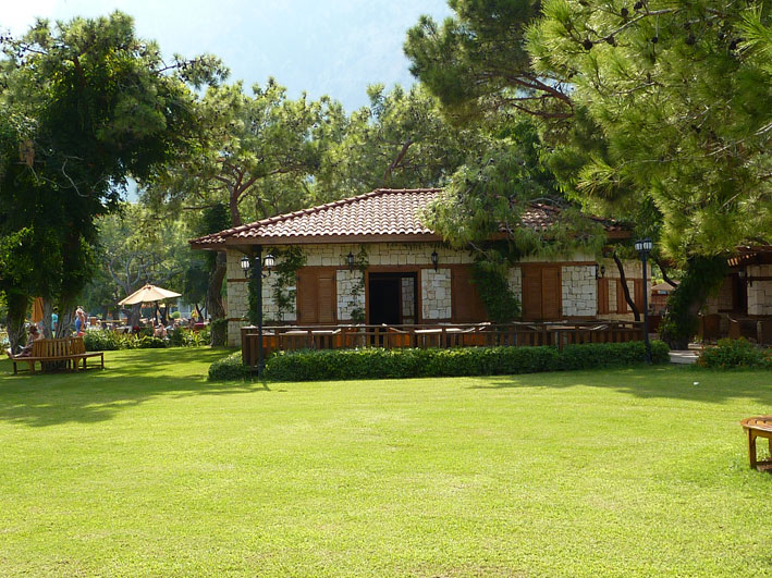 Ландшафтный дизайн