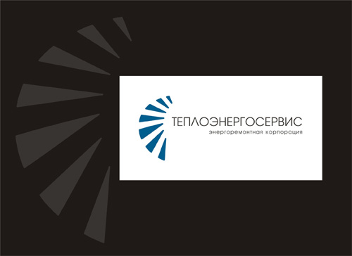 Теплоэнергосервис. 2006.