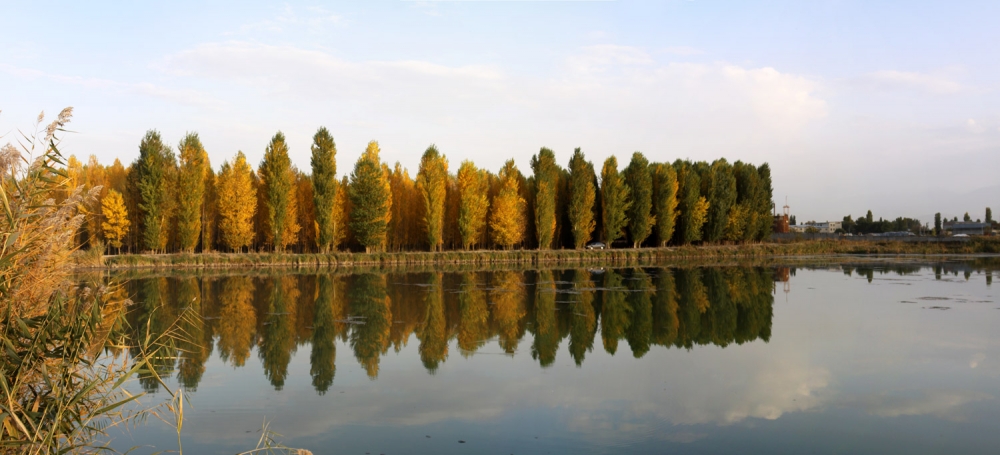 Отражение осени.
