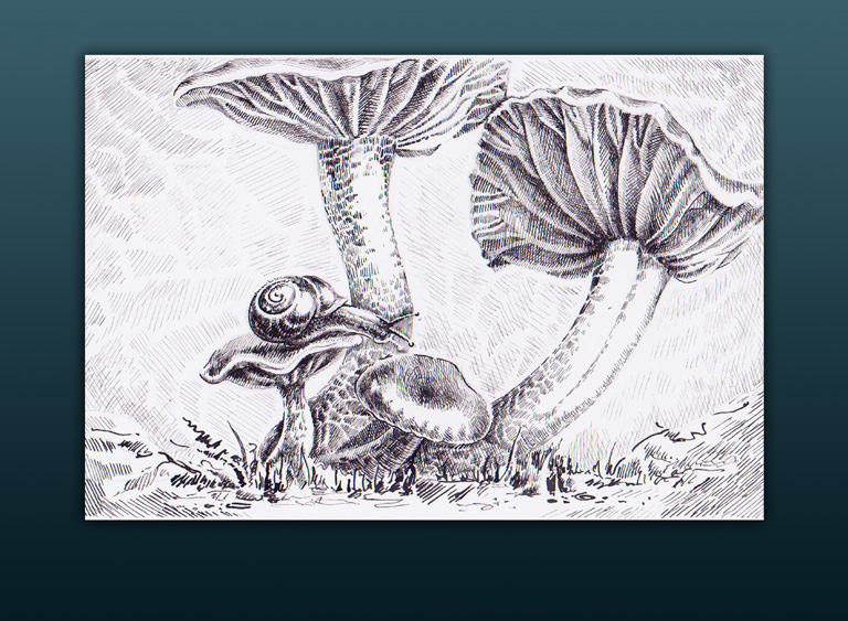 Из серии "Улитки"