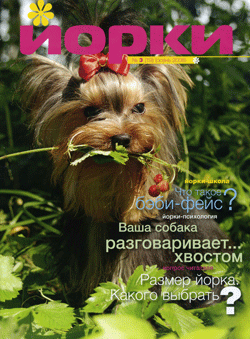 журнал "Йорки"