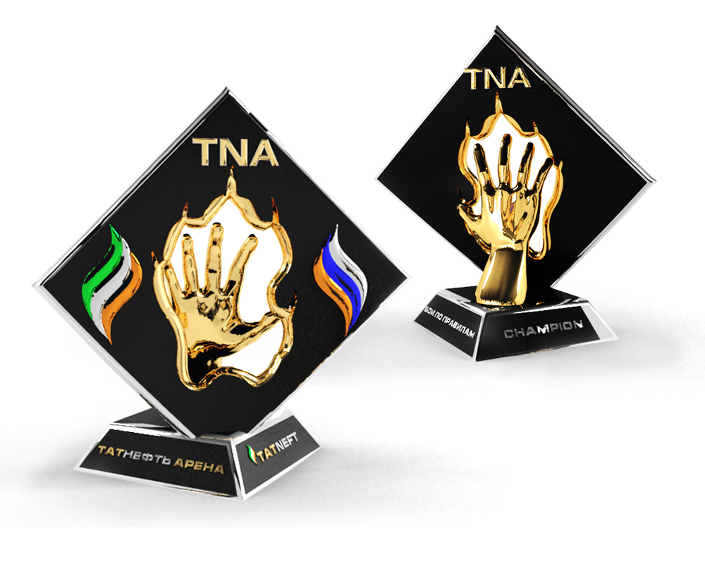 Кубок "Бои по правилам"  ТАТНЕФТЬ АРЕНА