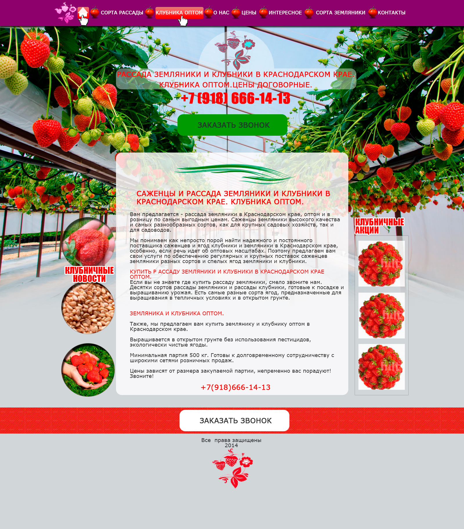 Макет сайта росады клубники (psd)