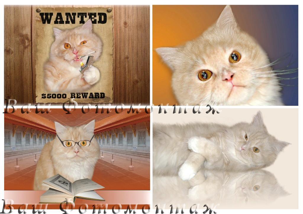 Фотомонтаж 15