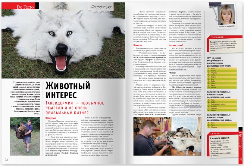 Дизайн журнала De Facto - полоса