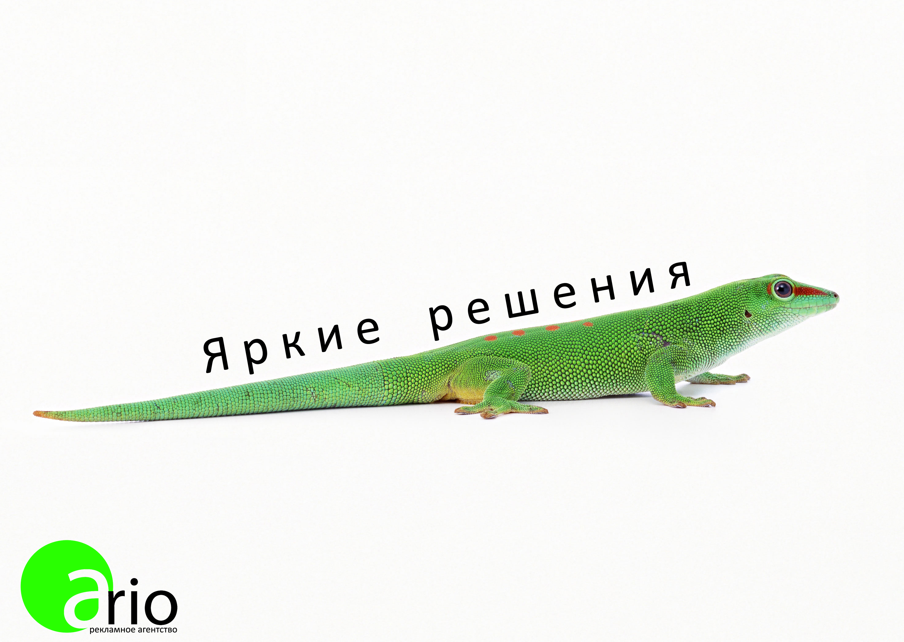 Реклама для "Ario"