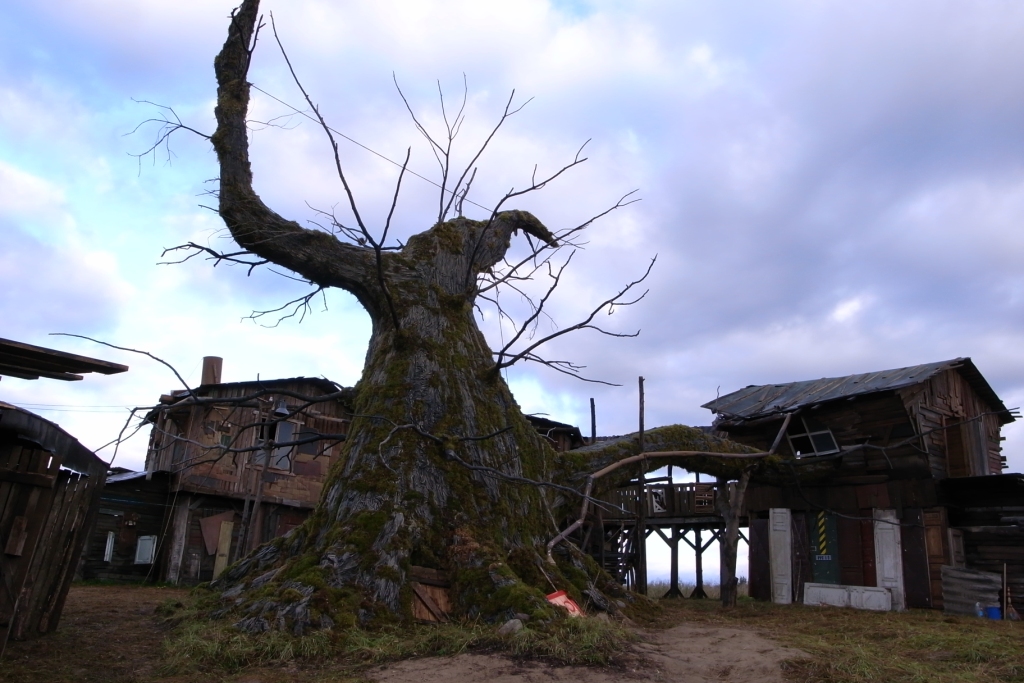 х/ф "Три дня с придурком" 2010 г. общий вид дома