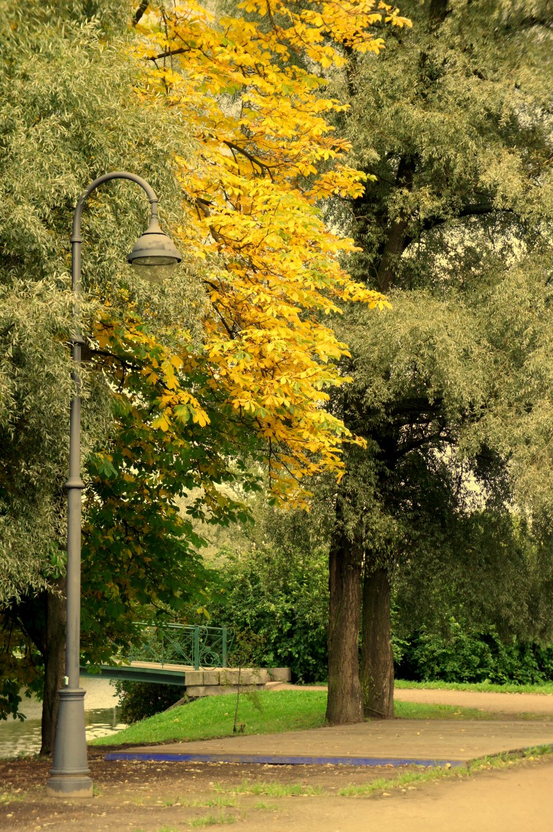 бональная осень