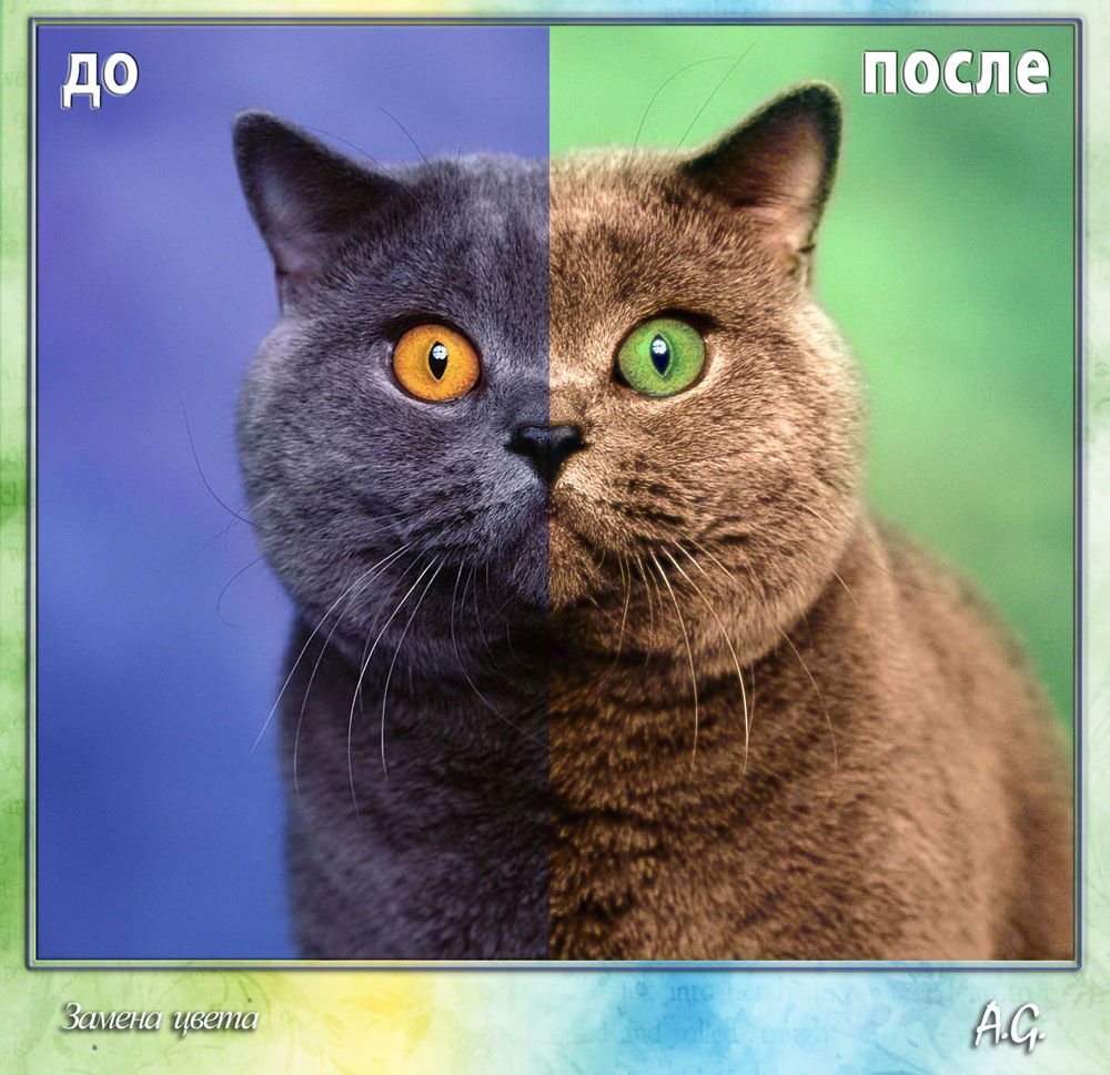 замена цвета кот