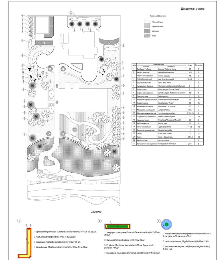 Дендроплан "Дом на склоне"