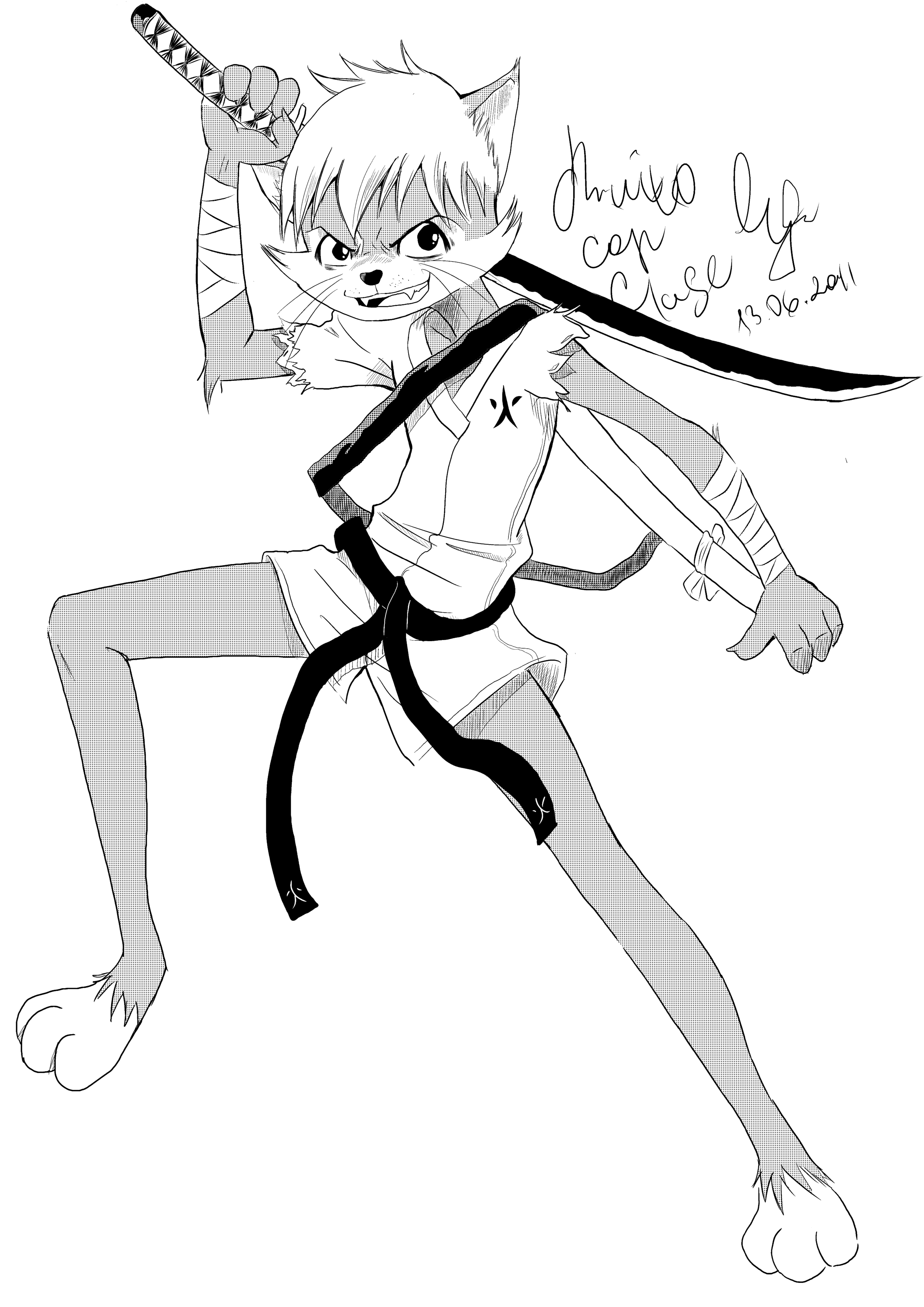 Кот-самурай