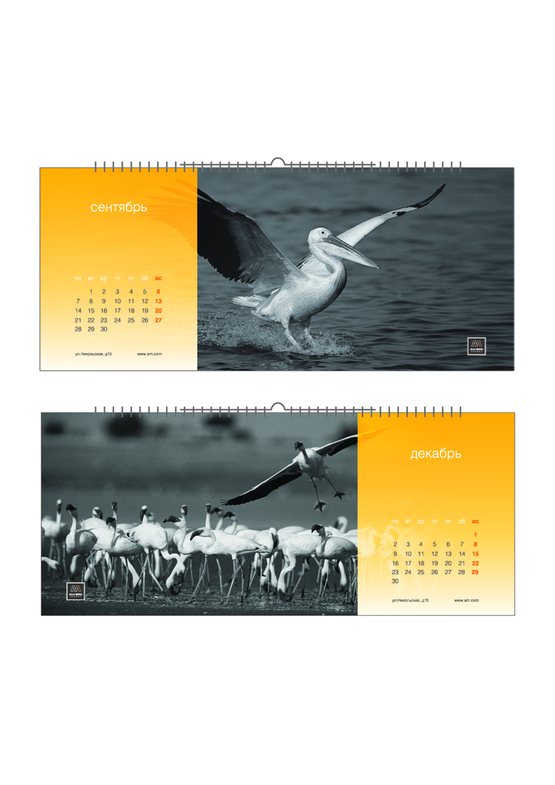 алла медиа (рекламное агентство)