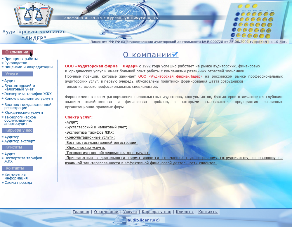 Аудиторская компания