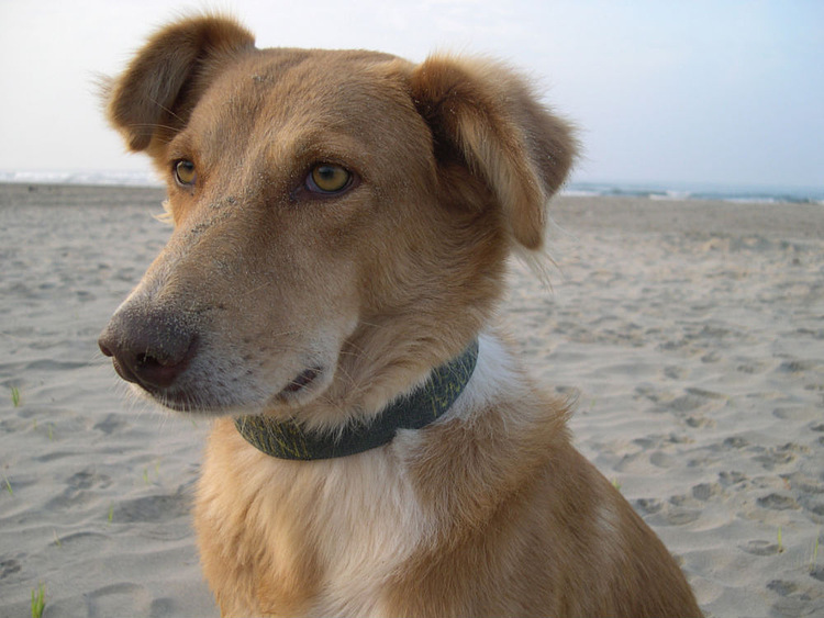 приятный день для всех