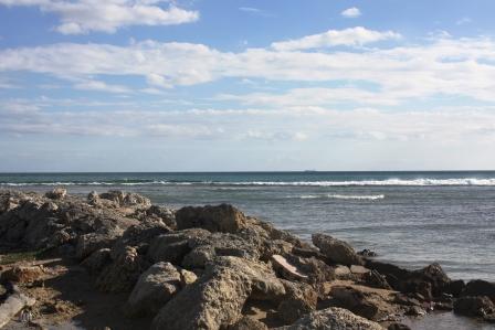 Карибы. Фото продается.