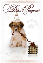 открытка средний формат