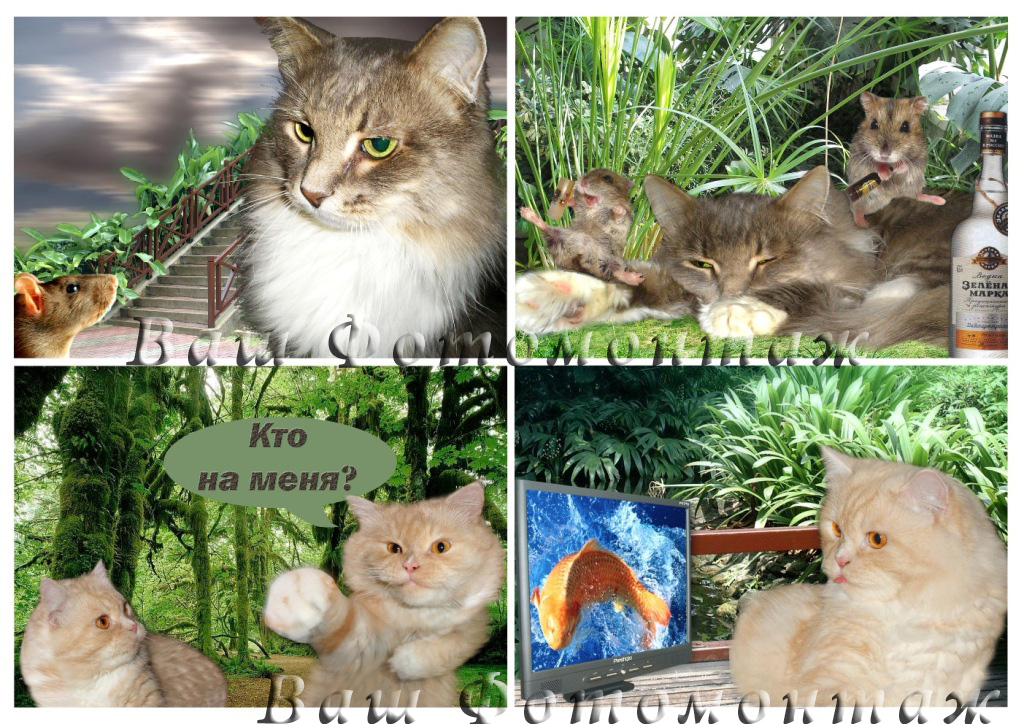 Фотомонтаж 10