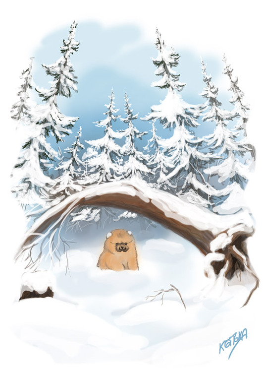 В зимнем лесу