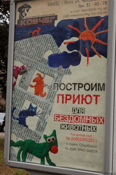 Построим приют для бездомных животных