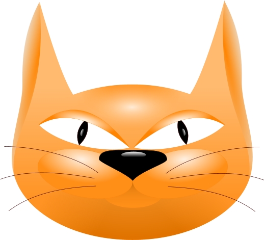 Orange cat