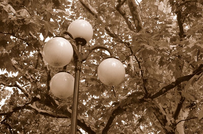 Очей очарованье ;)