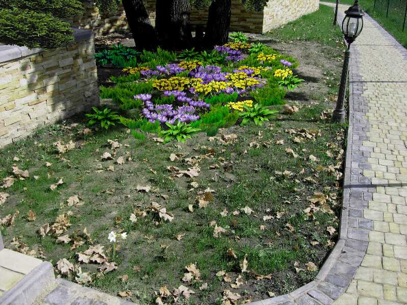 Визуализация "Луковичные" (после)