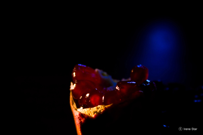 pomegranate