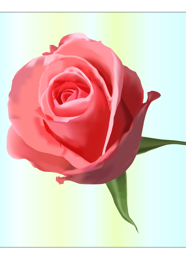 Векторная иллюстрация Роза