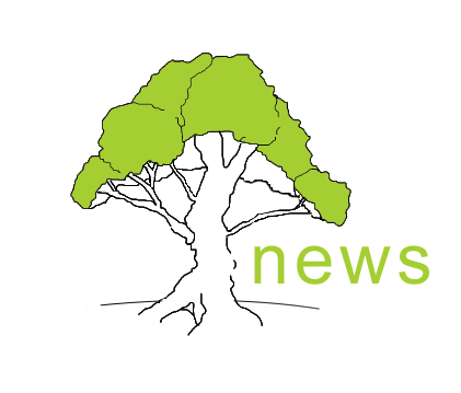 Логотип для туристической компании NEWS