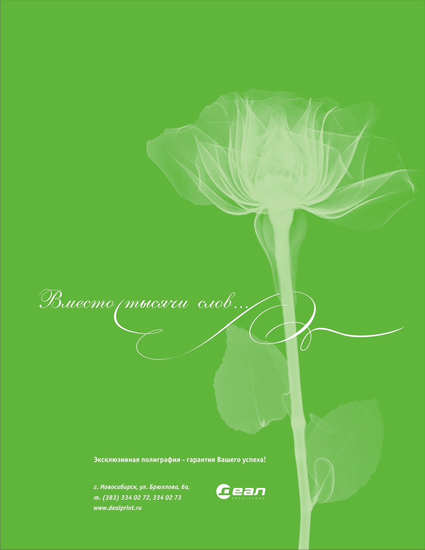 Поздравление "Вместо тысячи слов"