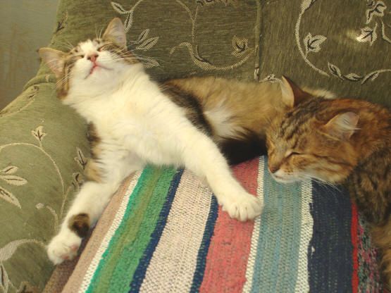 "Райское наслаждение"