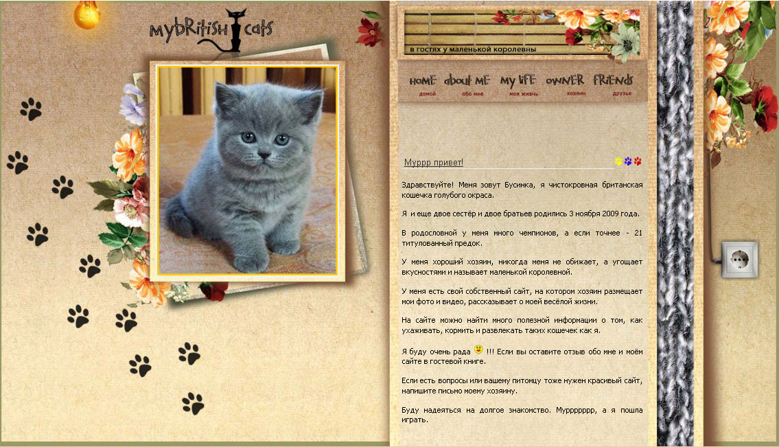 www.mybritish-cats.ru