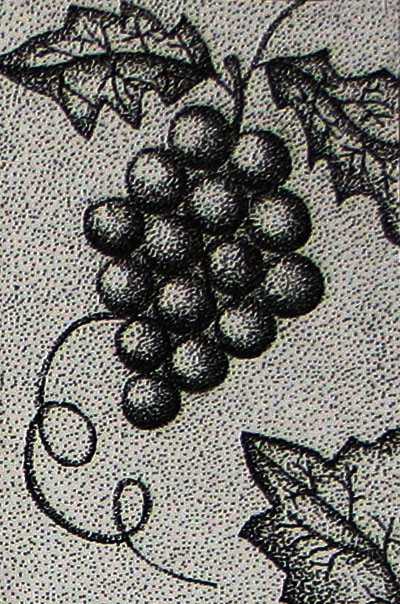 "виноград"