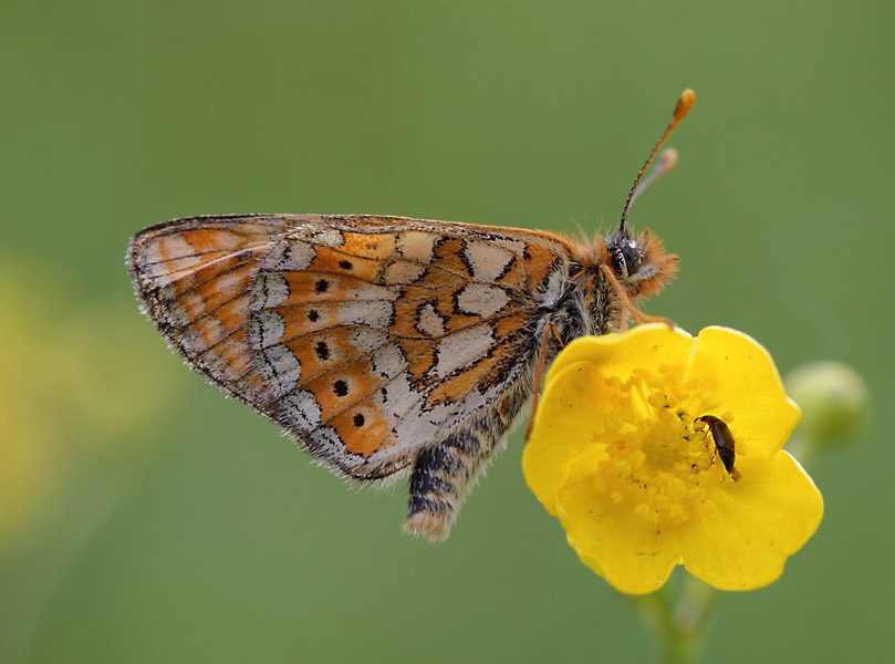 Параллельные миры