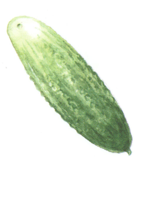 рис. б5 разв. пособие