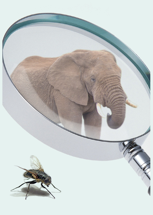 Делать из мухи слона или "Эффект подзорной трубы"