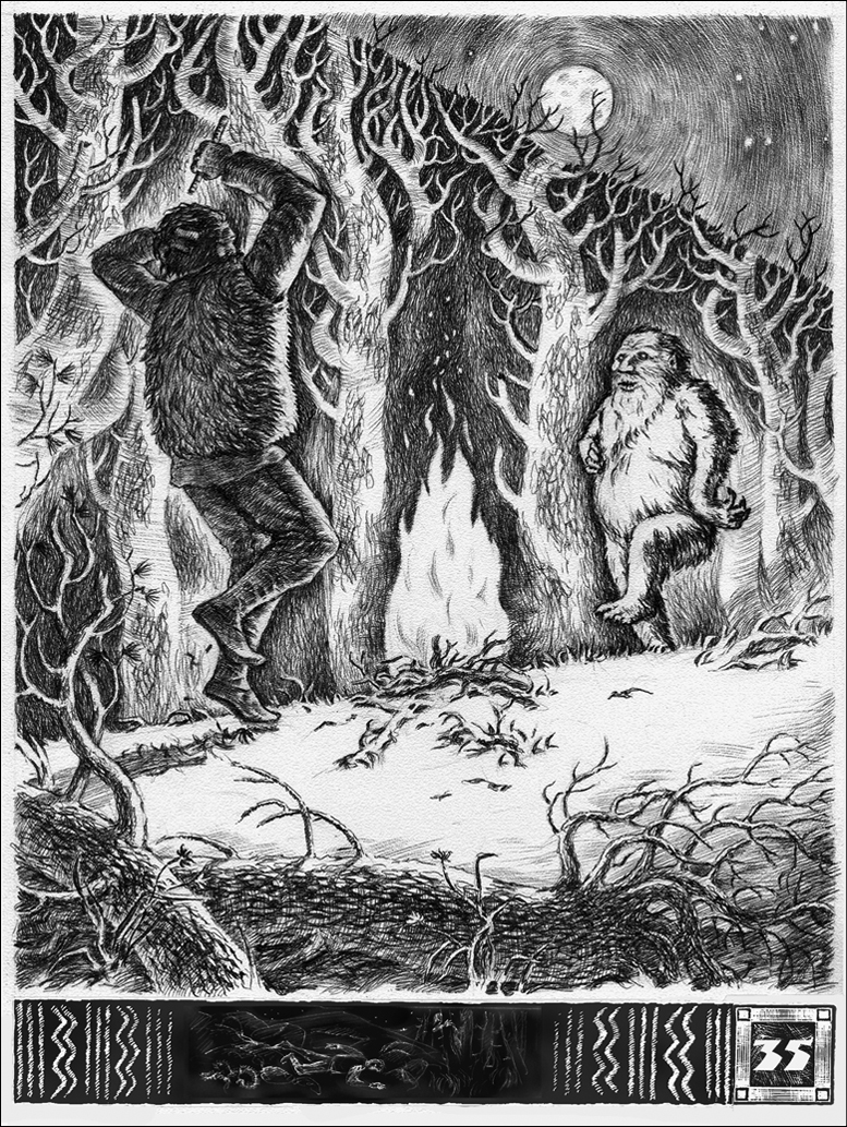 Иллюстрации "Тіні забутих предків"