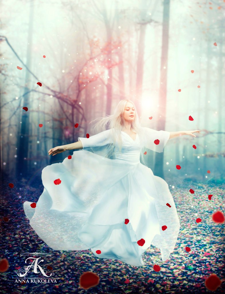 White Rose in the Woods