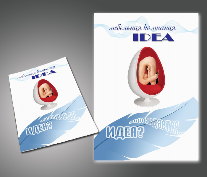 IDEA (мебельная компания)