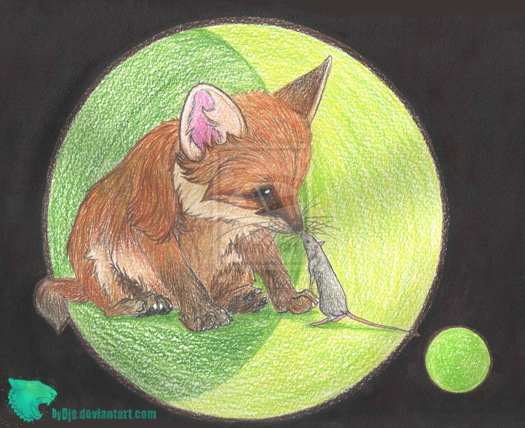 Храбрый мышонок